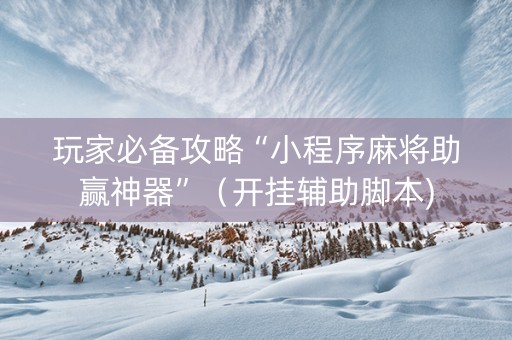 玩家必备攻略“小程序麻将助赢神器”（开挂辅助脚本)