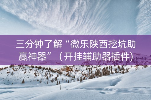 三分钟了解“微乐陕西挖坑助赢神器”（开挂辅助器插件)