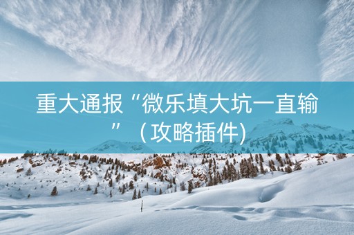 重大通报“微乐填大坑一直输”（攻略插件)