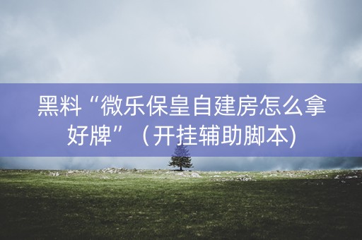 黑料“微乐保皇自建房怎么拿好牌”（开挂辅助脚本)
