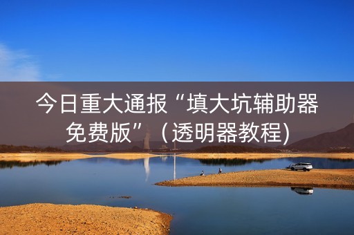 今日重大通报“填大坑辅助器免费版”（透明器教程)