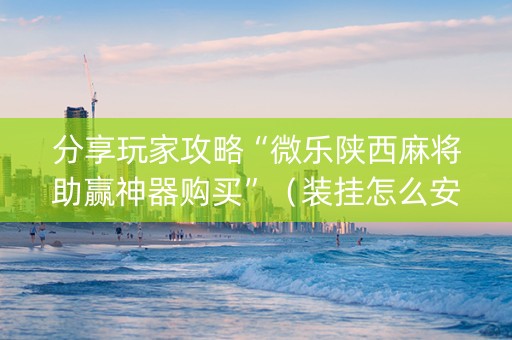 分享玩家攻略“微乐陕西麻将助赢神器购买”（装挂怎么安装)