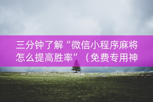 三分钟了解“微信小程序麻将怎么提高胜率”（免费专用神器)