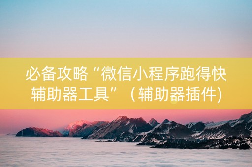 必备攻略“微信小程序跑得快辅助器工具”（辅助器插件)