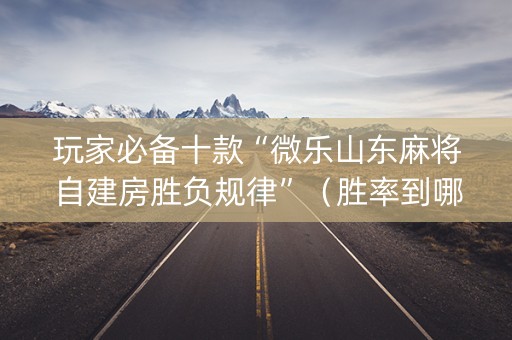 玩家必备十款“微乐山东麻将自建房胜负规律”（胜率到哪调)