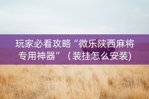 玩家必看攻略“微乐陕西麻将专用神器”（装挂怎么安装)