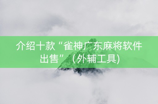 介绍十款“雀神广东麻将软件出售”（外辅工具)