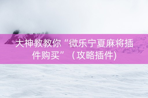 大神教教你“微乐宁夏麻将插件购买”（攻略插件)