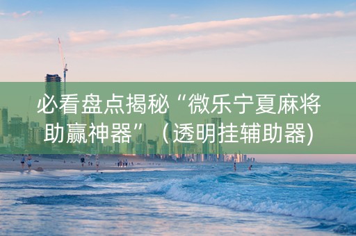 必看盘点揭秘“微乐宁夏麻将助赢神器”（透明挂辅助器)