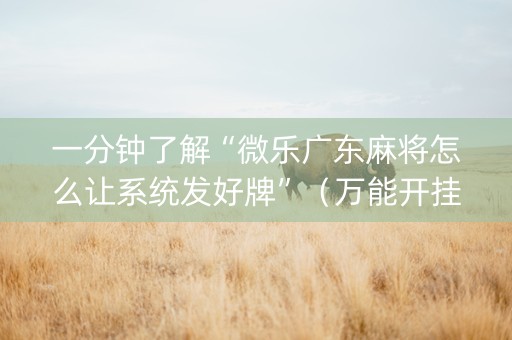 一分钟了解“微乐广东麻将怎么让系统发好牌”（万能开挂神器)