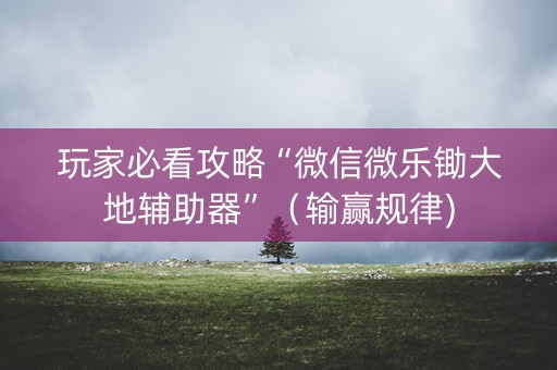 玩家必看攻略“微信微乐锄大地辅助器”（输赢规律)