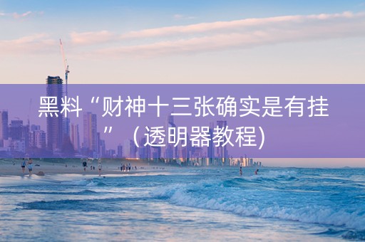 黑料“财神十三张确实是有挂”（透明器教程)