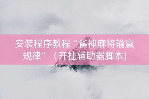 安装程序教程“雀神麻将输赢规律”（开挂辅助器脚本)