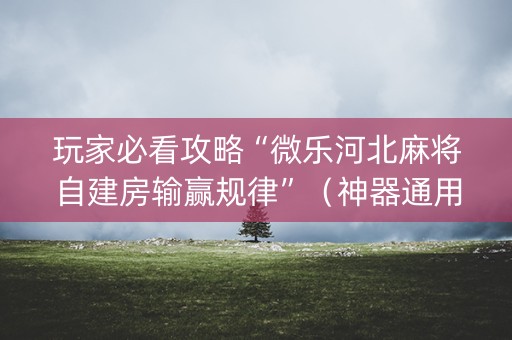玩家必看攻略“微乐河北麻将自建房输赢规律”（神器通用版)