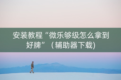 安装教程“微乐够级怎么拿到好牌”（辅助器下载)