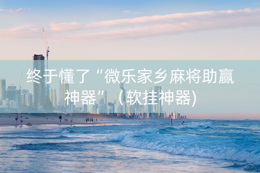 终于懂了“微乐家乡麻将助赢神器”（软挂神器)