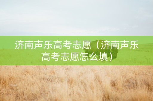 济南声乐高考志愿（济南声乐高考志愿怎么填）