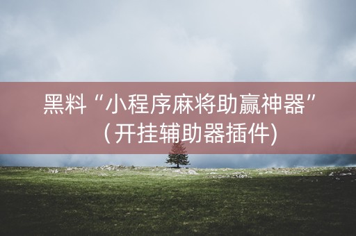 黑料“小程序麻将助赢神器”（开挂辅助器插件)