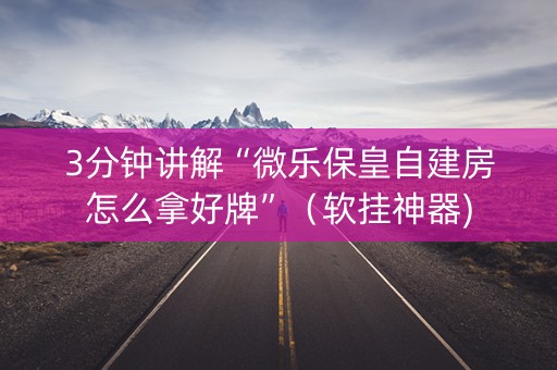 3分钟讲解“微乐保皇自建房怎么拿好牌”（软挂神器)