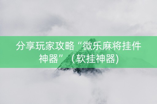分享玩家攻略“微乐麻将挂件神器”（软挂神器)