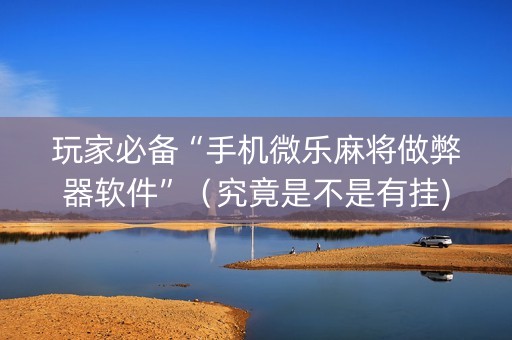 玩家必备“手机微乐麻将做弊器软件”（究竟是不是有挂)