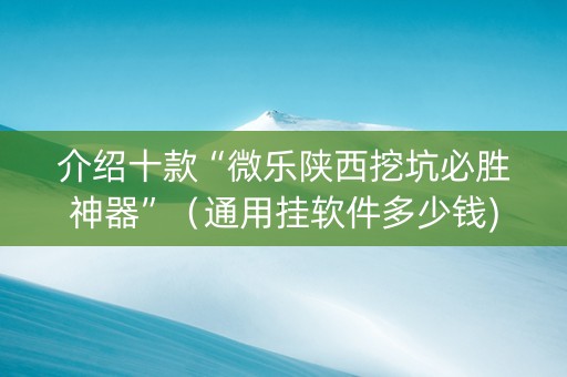介绍十款“微乐陕西挖坑必胜神器”（通用挂软件多少钱)