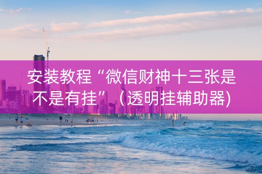 安装教程“微信财神十三张是不是有挂”（透明挂辅助器)