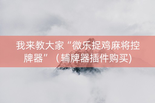 我来教大家“微乐捉鸡麻将控牌器”（辅牌器插件购买)