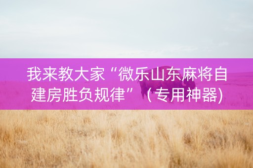 我来教大家“微乐山东麻将自建房胜负规律”（专用神器)