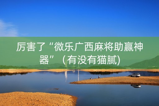 厉害了“微乐广西麻将助赢神器”（有没有猫腻)