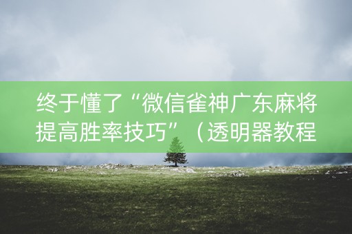 终于懂了“微信雀神广东麻将提高胜率技巧”（透明器教程)