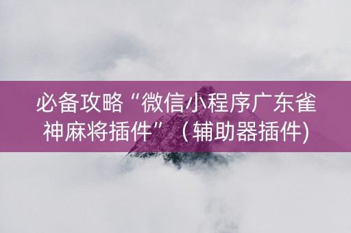 必备攻略“微信小程序广东雀神麻将插件”（辅助器插件)
