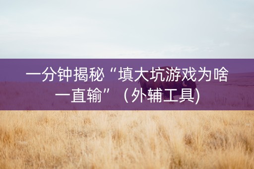一分钟揭秘“填大坑游戏为啥一直输”（外辅工具)