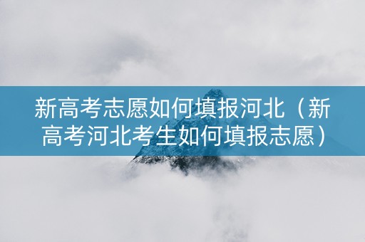 新高考志愿如何填报河北（新高考河北考生如何填报志愿）