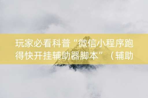 玩家必看科普“微信小程序跑得快开挂辅助器脚本”（辅助器通用版)