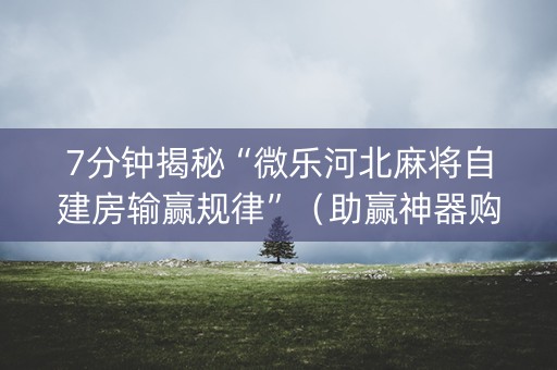 7分钟揭秘“微乐河北麻将自建房输赢规律”（助赢神器购买)