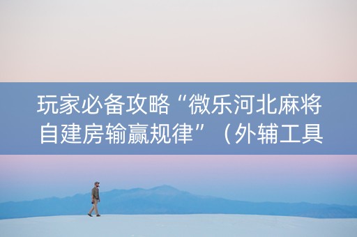 玩家必备攻略“微乐河北麻将自建房输赢规律”（外辅工具)