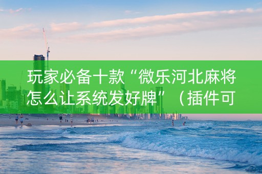 玩家必备十款“微乐河北麻将怎么让系统发好牌”（插件可信吗)