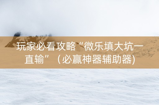 玩家必看攻略“微乐填大坑一直输”（必赢神器辅助器)