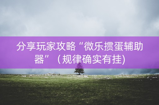 分享玩家攻略“微乐掼蛋辅助器”（规律确实有挂)
