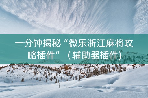 一分钟揭秘“微乐浙江麻将攻略插件”（辅助器插件)