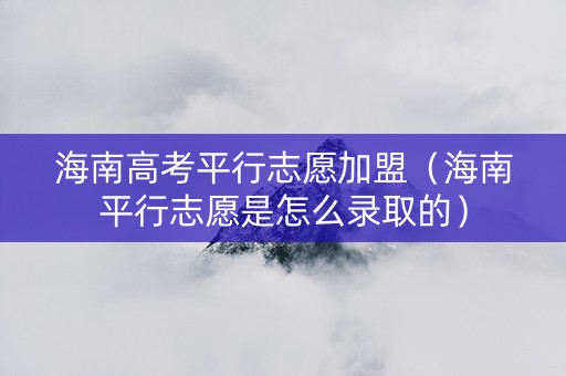 海南高考平行志愿加盟（海南平行志愿是怎么录取的）