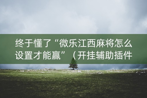 终于懂了“微乐江西麻将怎么设置才能赢”（开挂辅助插件)