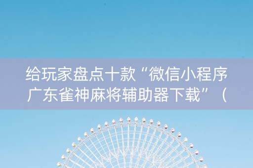 给玩家盘点十款“微信小程序广东雀神麻将辅助器下载”（辅牌器插件购买)