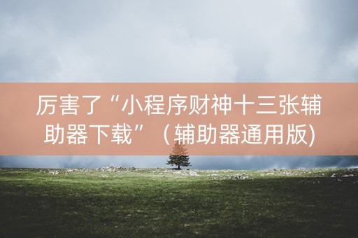 厉害了“小程序财神十三张辅助器下载”（辅助器通用版)