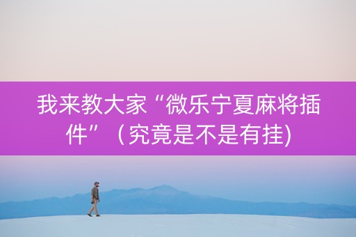 我来教大家“微乐宁夏麻将插件”（究竟是不是有挂)