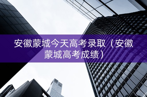 安徽蒙城今天高考录取（安徽蒙城高考成绩）