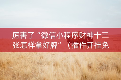 厉害了“微信小程序财神十三张怎样拿好牌”（插件开挂免费AI)