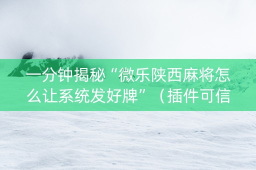一分钟揭秘“微乐陕西麻将怎么让系统发好牌”（插件可信吗)