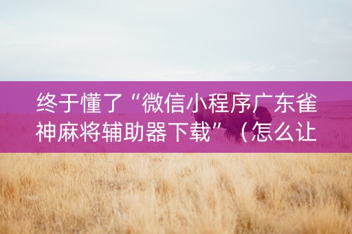 终于懂了“微信小程序广东雀神麻将辅助器下载”（怎么让系统给你发好牌)